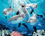 Zuty Maľovanie podľa čísel Veselé delfíny (Howard Robinson), 80x100cm bez rámu a bez napnutia plátnana - cena, srovnání