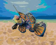 Zuty Mandarínková rybka, 80x100cm bez rámu a bez napnutia plátna - cena, srovnání