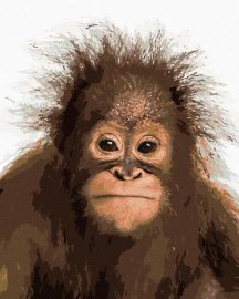 Zuty Mladý orangutan, 80x100cm bez rámu a bez napnutia plátna