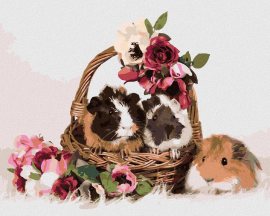 Zuty Morčatá v košíku s kvetinami, 80x100cm plátno napnuté na rám