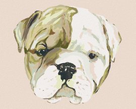 Zuty Šteniatko bulldoga (Haley Bush), 80x100cm plátno napnuté na rám