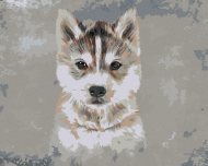 Zuty Husky na sivom pozadí, 40x50cm plátno napnuté na rám - cena, srovnání