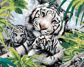 Zuty Maľovanie podľa číse Biely tiger a dve mláďatá (Howard Robinson), 40x50cm
