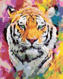 Zuty Maľovanie podľa čísel Tiger vo farbách, 40x50cm bez rámu a bez napnutia plátna