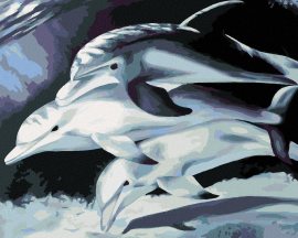 Zuty Maľovanie podľa čísel Tri delfíny, 40x50cm napnuté plátno na rám