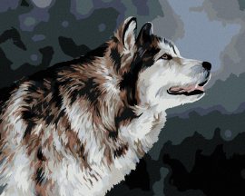 Zuty Vyzerajúci husky, 80x100cm bez rámu a bez napnutia plátna