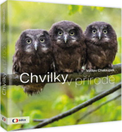 Chvilky v přírodě