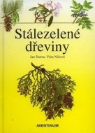 Stálezelené dřeviny - cena, srovnání