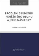 Prodlení s plněním peněžitého dluhu a jeho následky - cena, srovnání