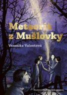 Meteorit z Mušlovky - cena, srovnání