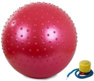 Verk Gymnastická lopta s pumpičkou 55cm - cena, srovnání