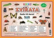 Zvířata hmyz - Sada 24 karet - cena, srovnání