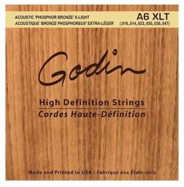 Godin Strings Acoustic Guitar XLT