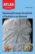 Zkamenělé stopy živočichů v Čechách a na Moravě - cena, srovnání