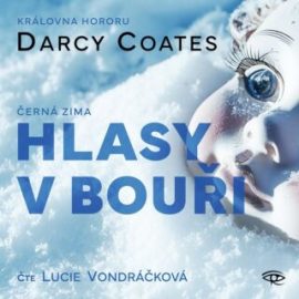 Hlasy v bouři - audiokniha