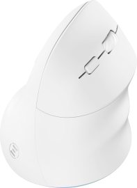 Eternico Wireless MDV490