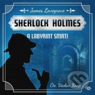 Fantastický Sherlock Holmes 5 - Labyrint - cena, srovnání