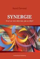 Synergie - Karel Červený - cena, srovnání