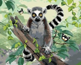 Zuty Maľovanie podľa čísel - Lemur a motýle (Howard Robinson), 40 x 50 cm, napnuté plátno na ráme