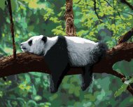 Zuty Maľovanie podľa čísel - Panda ležiaca na strome, 40 x 50 cm, bez rámu a bez napnutia plátna - cena, srovnání