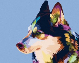 Zuty Maľovanie podľa čísel - Farebný husky, 40 x 50 cm, bez rámu a bez napnutého plátna