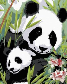 Zuty Maľovanie podľa čísel - Panda s mláďaťom, 40 x 50 cm, napnuté plátno na rám