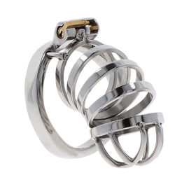 Hidden Desire Extreme Chastity Cock Cage Metal