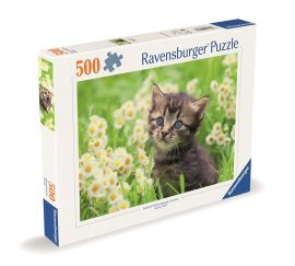 Ravensburger Puzzle 120003670 Mačiatko na lúke