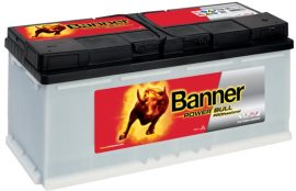 Banner Power Bull Professional 110Ah