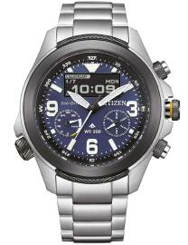 Citizen JV1006