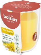 Bolsius Sviečka Mimosa 313g - cena, srovnání