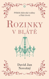 Rozinky v blátě - Dva tucty střepů