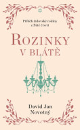 Rozinky v blátě - Dva tucty střepů - cena, srovnání