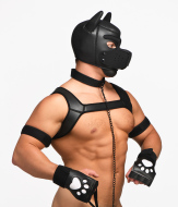 Master Series Deluxe Pup Arsenal Set - cena, srovnání