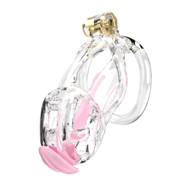 Cellmate Guardian Chastity Cage Clear Size 2