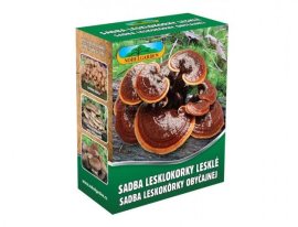 Nohel Garden Leskokôrka lesklá 250ml